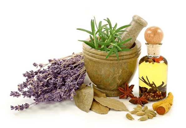 using herbs for breast enlargement